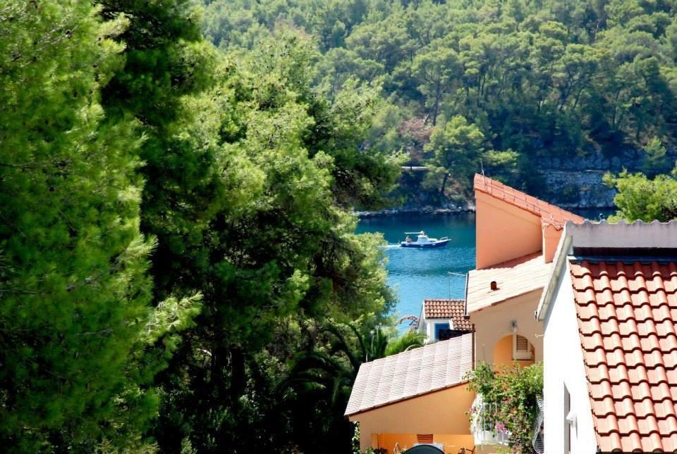 Guest House Alek Vrboska Habitación foto